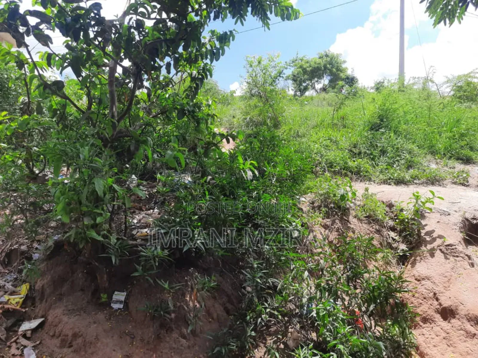 Farm_plot Mkulanga Kipatanganda