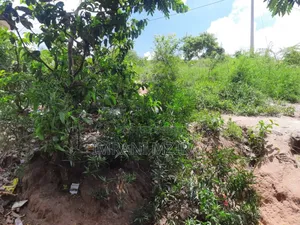 Farm_plot Mkulanga Kipatanganda