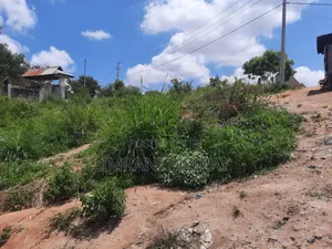 Farm_plot Mkulanga Kipatanganda