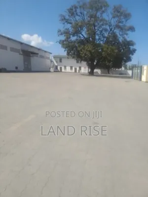 10000 SQM Warehouse in Mbagala