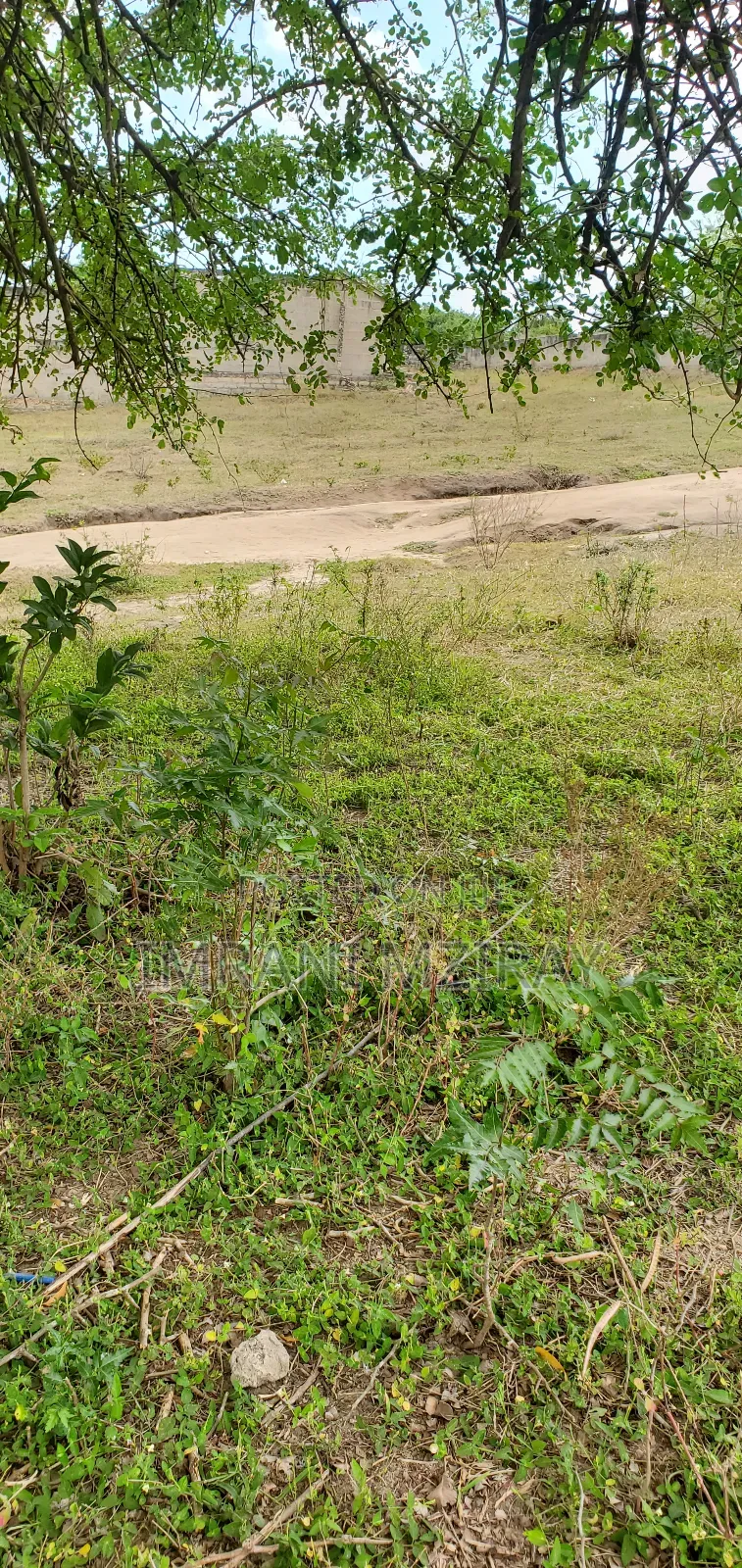 Goba Plot.Big Fot1600sqmt to 1000sqmts