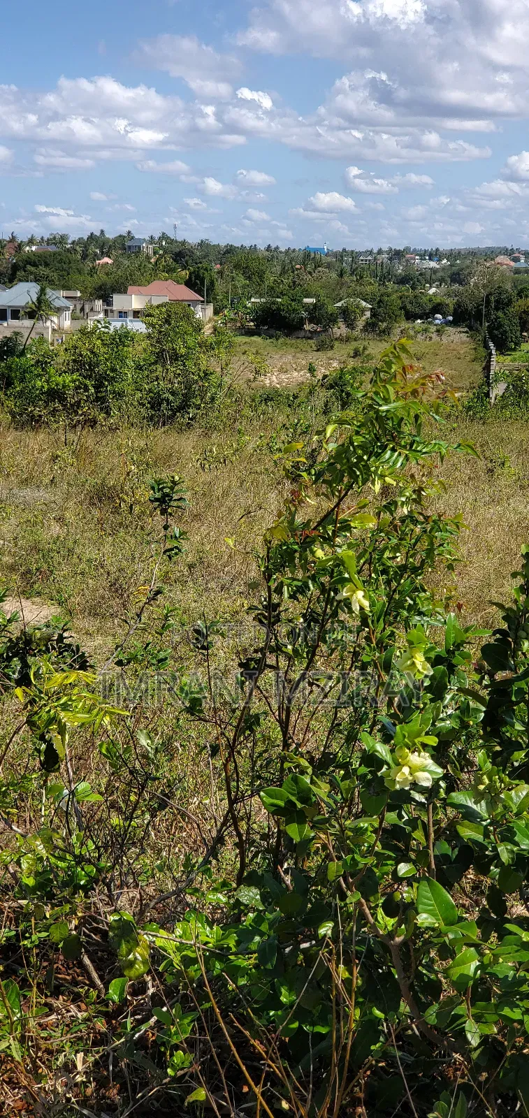 Madale_ Viwanja Jirani Na Wazo Kiwandani