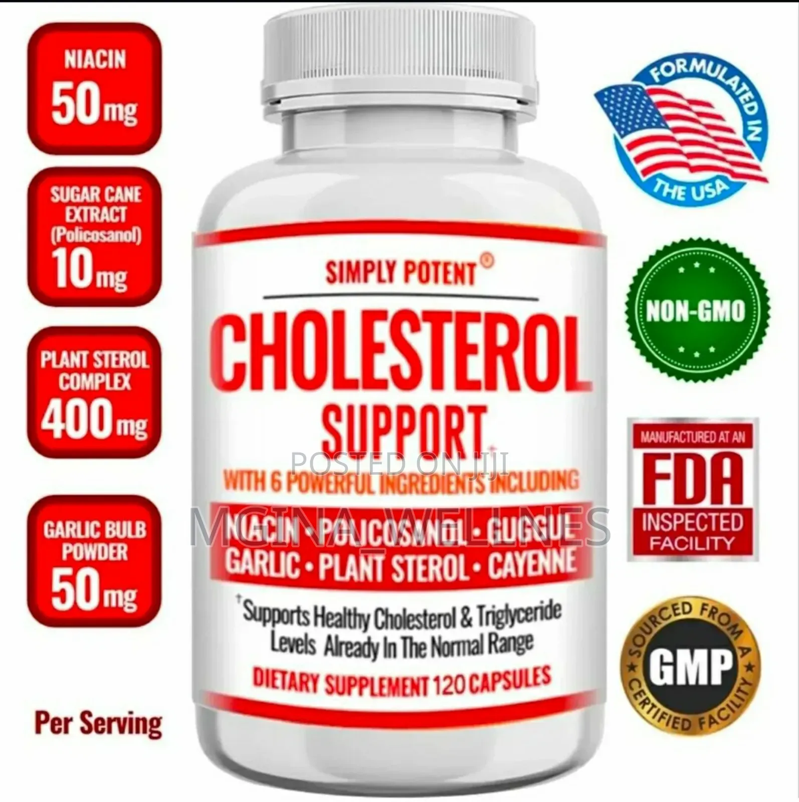 Cholesterol Support With 6 Powerful Ingredients Included