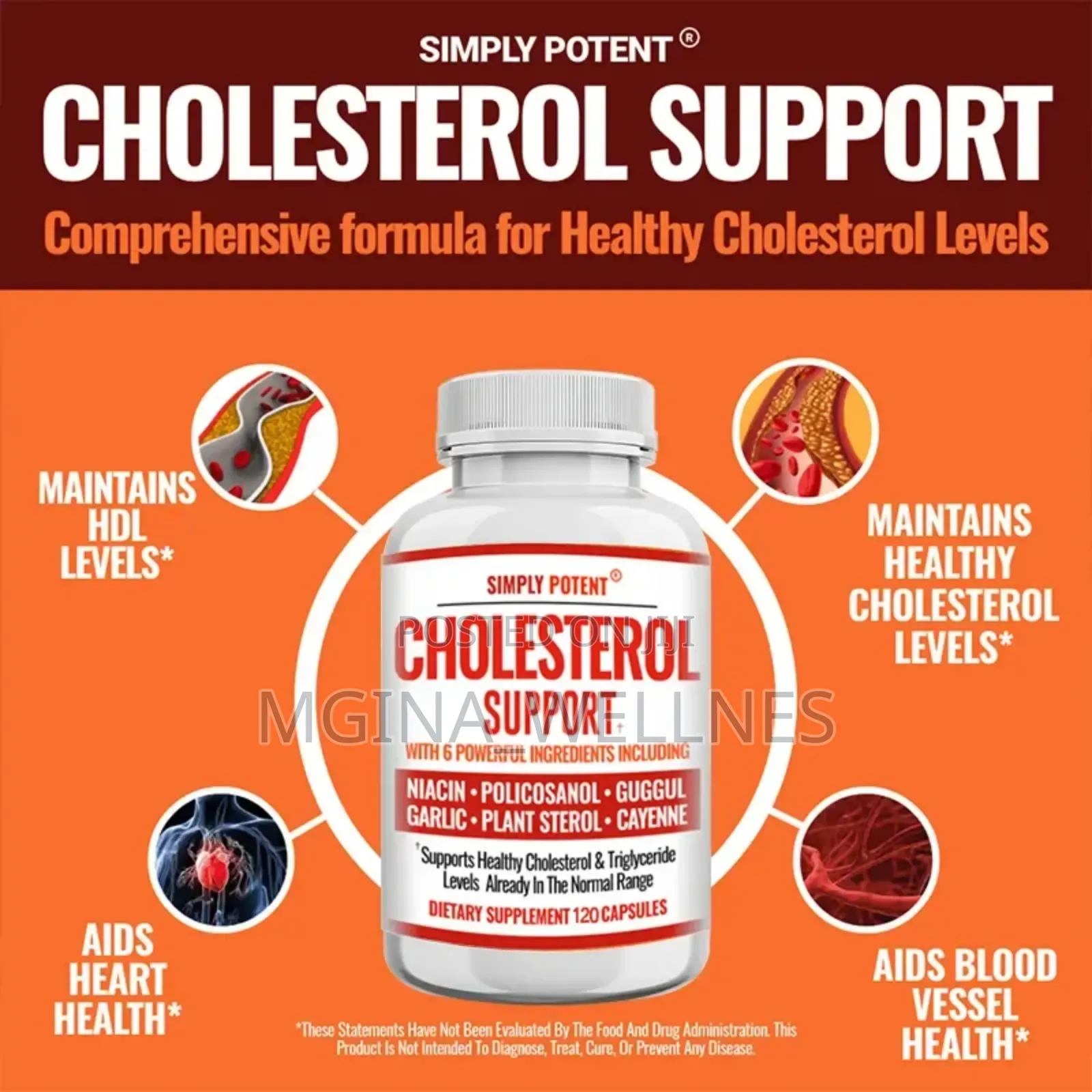 Cholesterol Support With 6 Powerful Ingredients Included