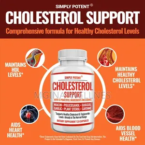 Cholesterol Support With 6 Powerful Ingredients Included