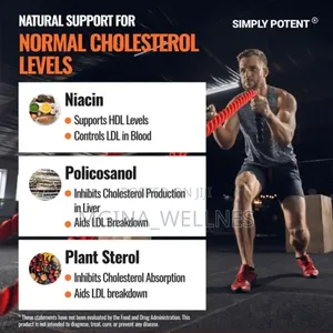 Cholesterol Support With 6 Powerful Ingredients Included
