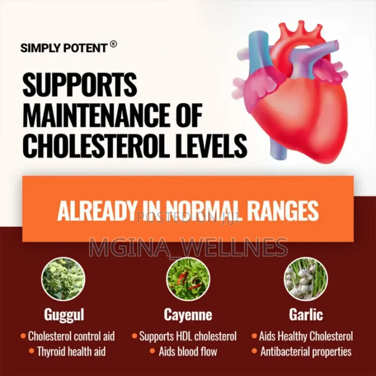 Cholesterol Support With 6 Powerful Ingredients Included