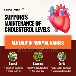 Cholesterol Support With 6 Powerful Ingredients Included