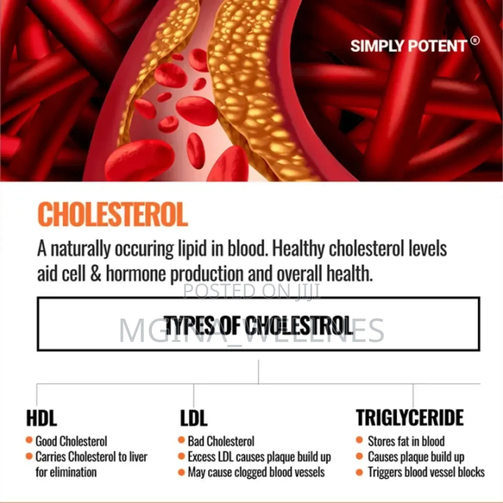 Cholesterol Support With 6 Powerful Ingredients Included