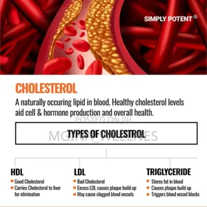 Cholesterol Support With 6 Powerful Ingredients Included