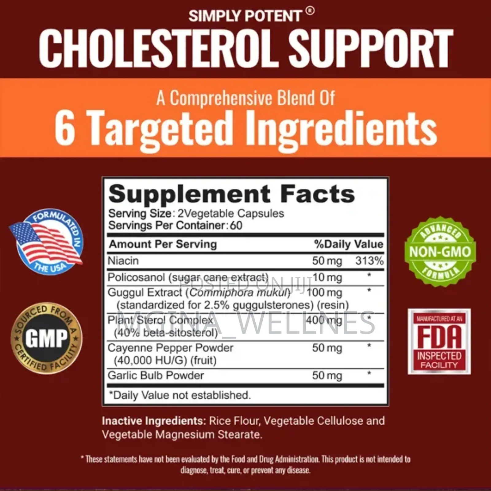Cholesterol Support With 6 Powerful Ingredients Included