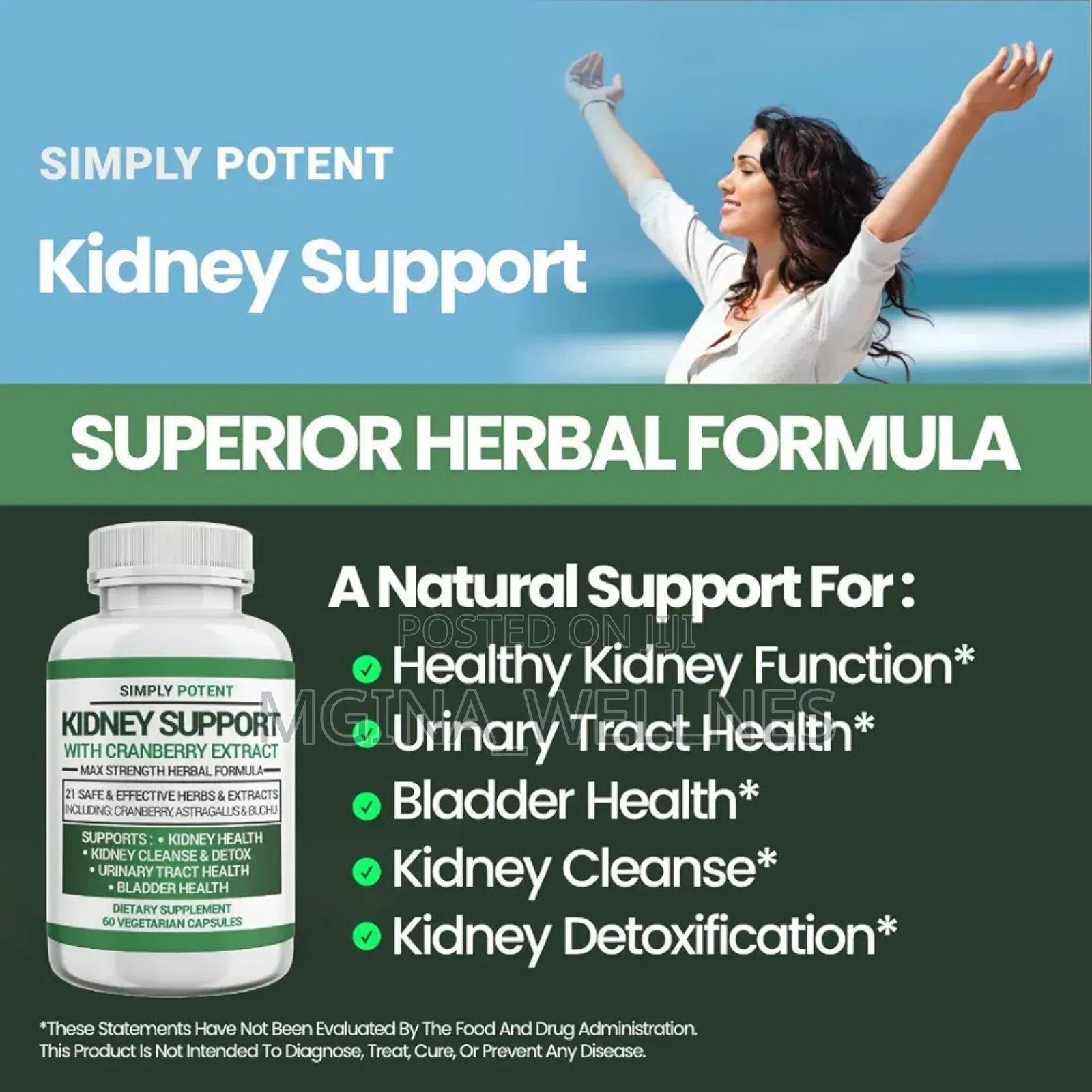 Kidney Support Suppliment