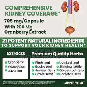 Kidney Support Suppliment