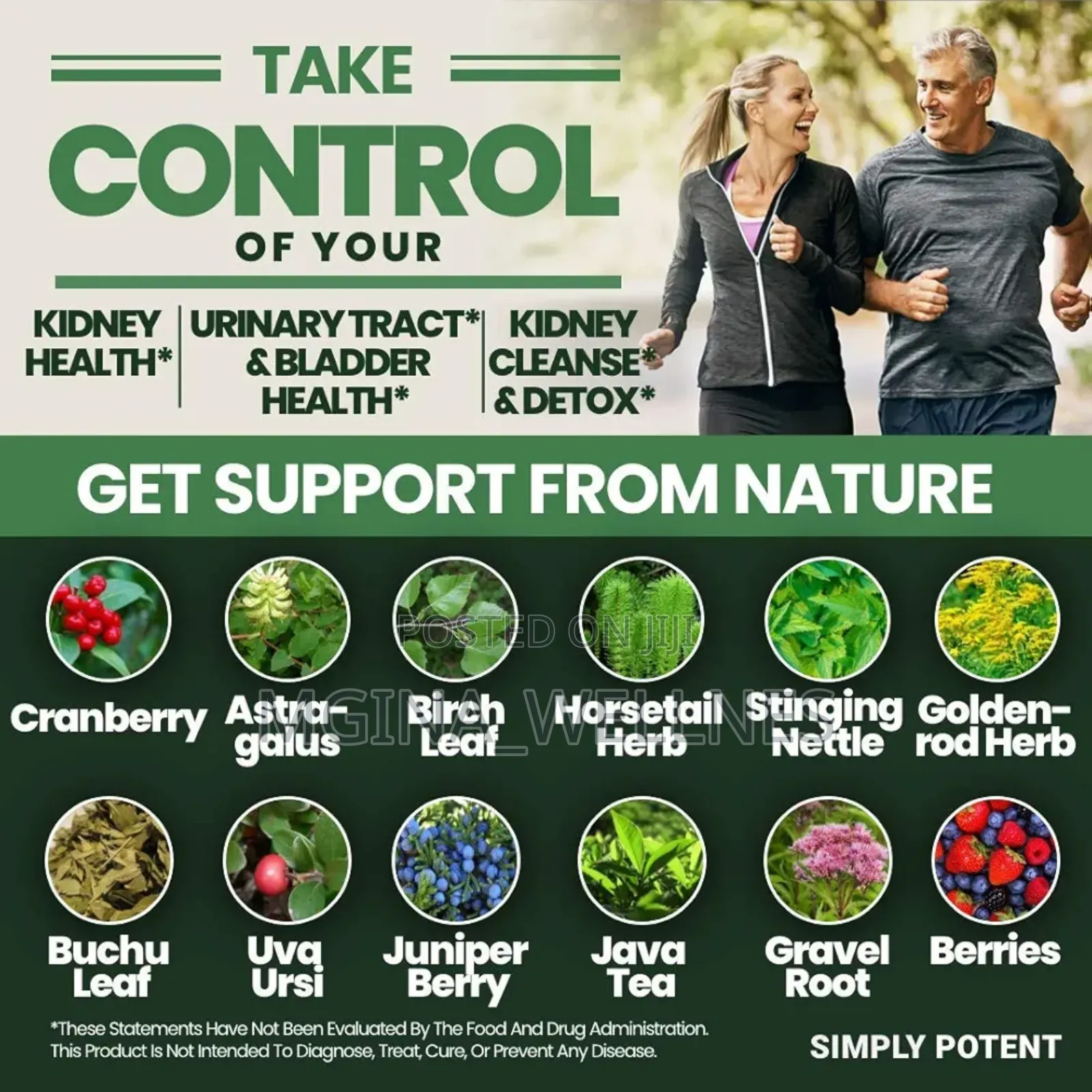 Kidney Support Suppliment