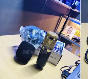 Mic Bm 800 Price