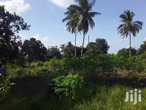 Shamba Linauzwa Bei Poa