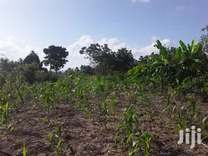 Shamba Linauzwa Bei Poa