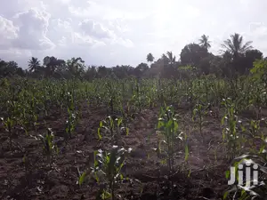 Shamba Linauzwa Bei Poa