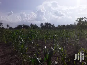 Shamba Linauzwa Bei Poa