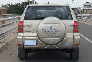 Toyota RAV4 Automatic 2003 Gold