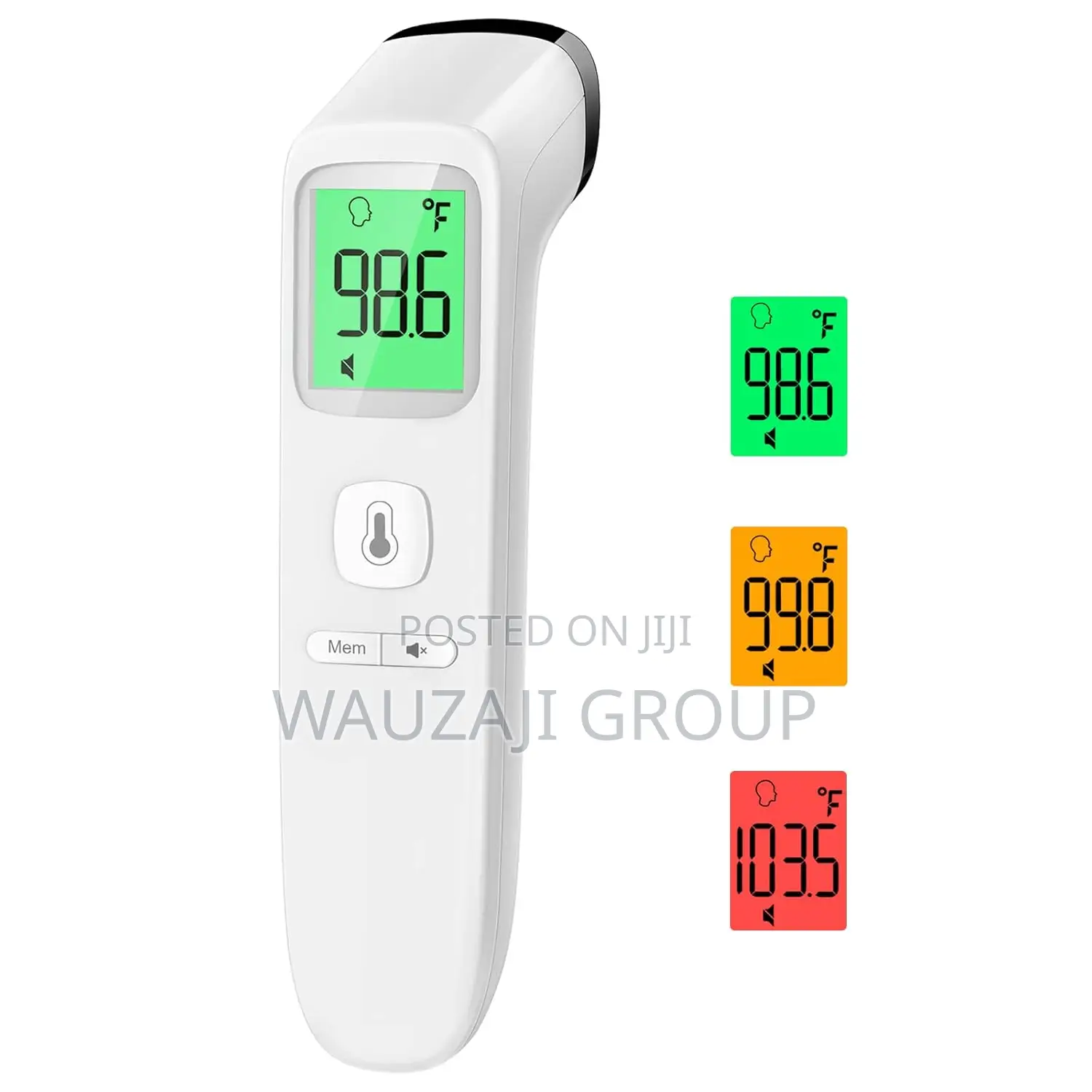 Thermometer Ya Mkono
