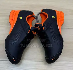 PUMA Ferrary