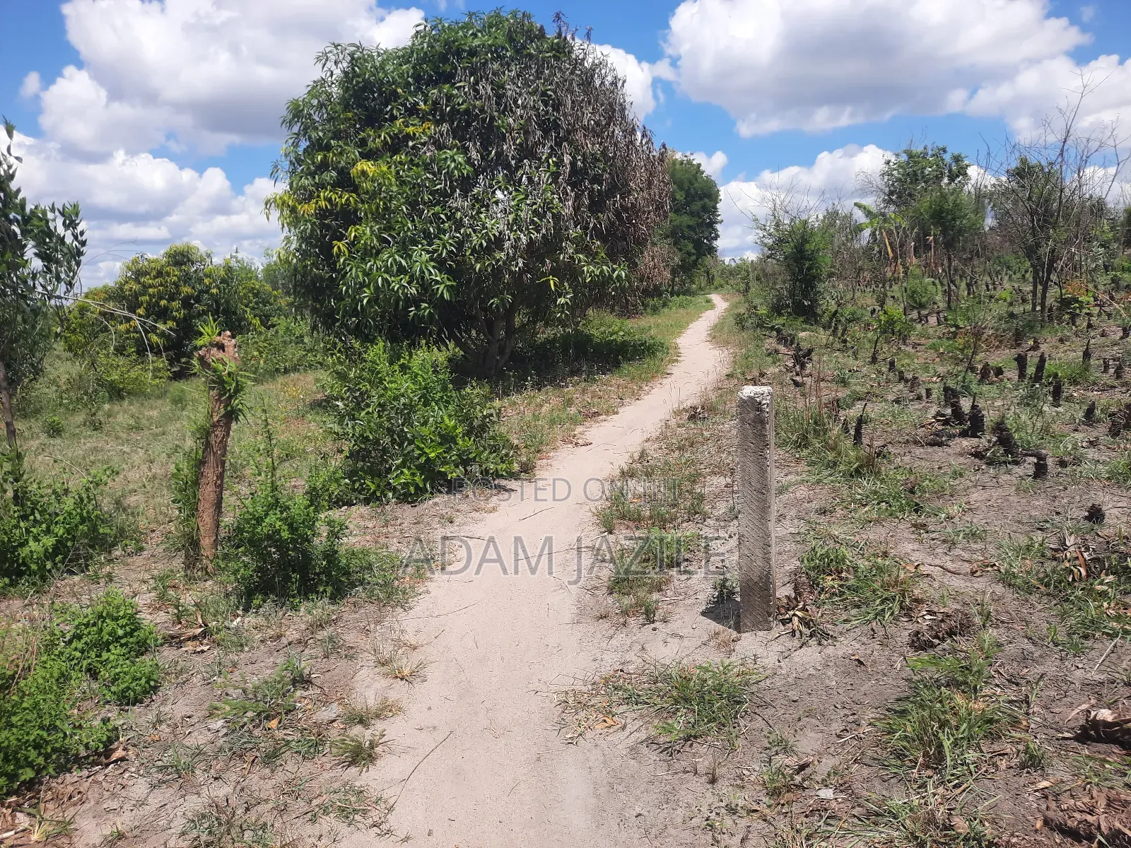 Shamba La Ekari 3 Linauzwa Kiwangwa Msinune