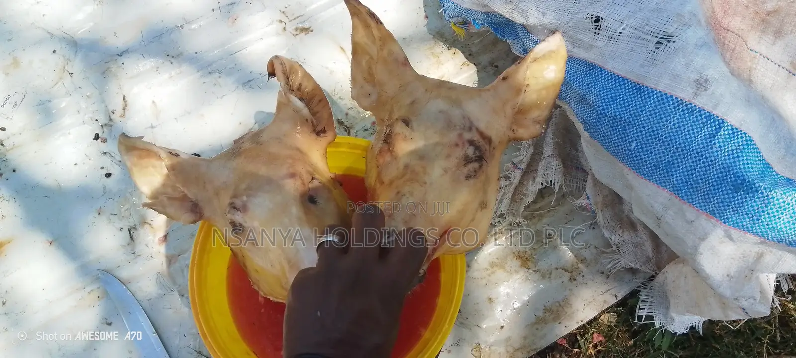 Nyama Ya Nguruwe Ipo Ya Kusaga Kg 1 TSHS 20,000/= Kawaida TSH 15,000/=