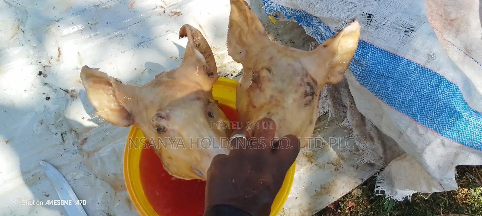 Nyama Ya Nguruwe Ipo Ya Kusaga Kg 1 TSHS 20,000/= Kawaida TSH 15,000/=