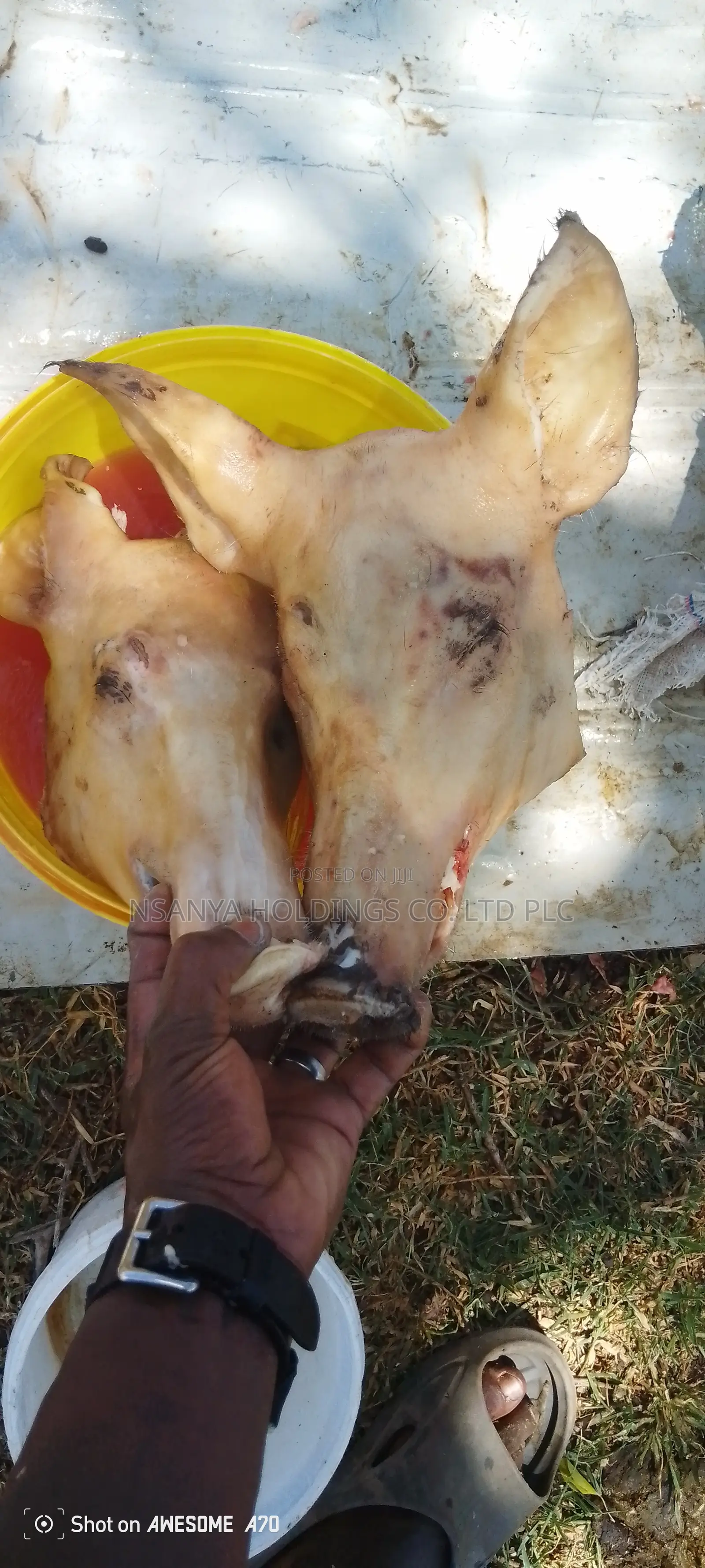 Nyama Ya Nguruwe Ipo Ya Kusaga Kg 1 TSHS 20,000/= Kawaida TSH 15,000/=