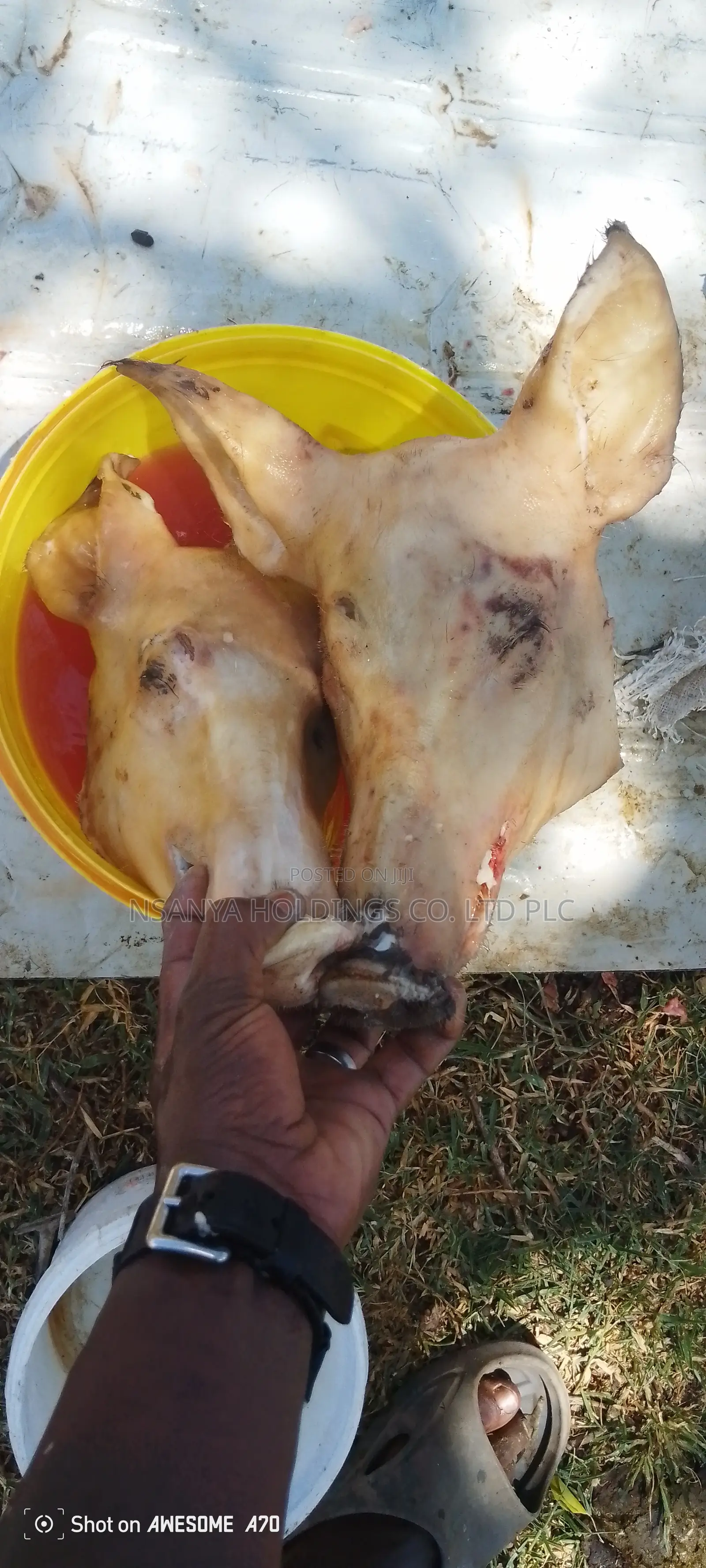 Nyama Ya Nguruwe Ipo Ya Kusaga Kg 1 TSHS 20,000/= Kawaida TSH 15,000/=