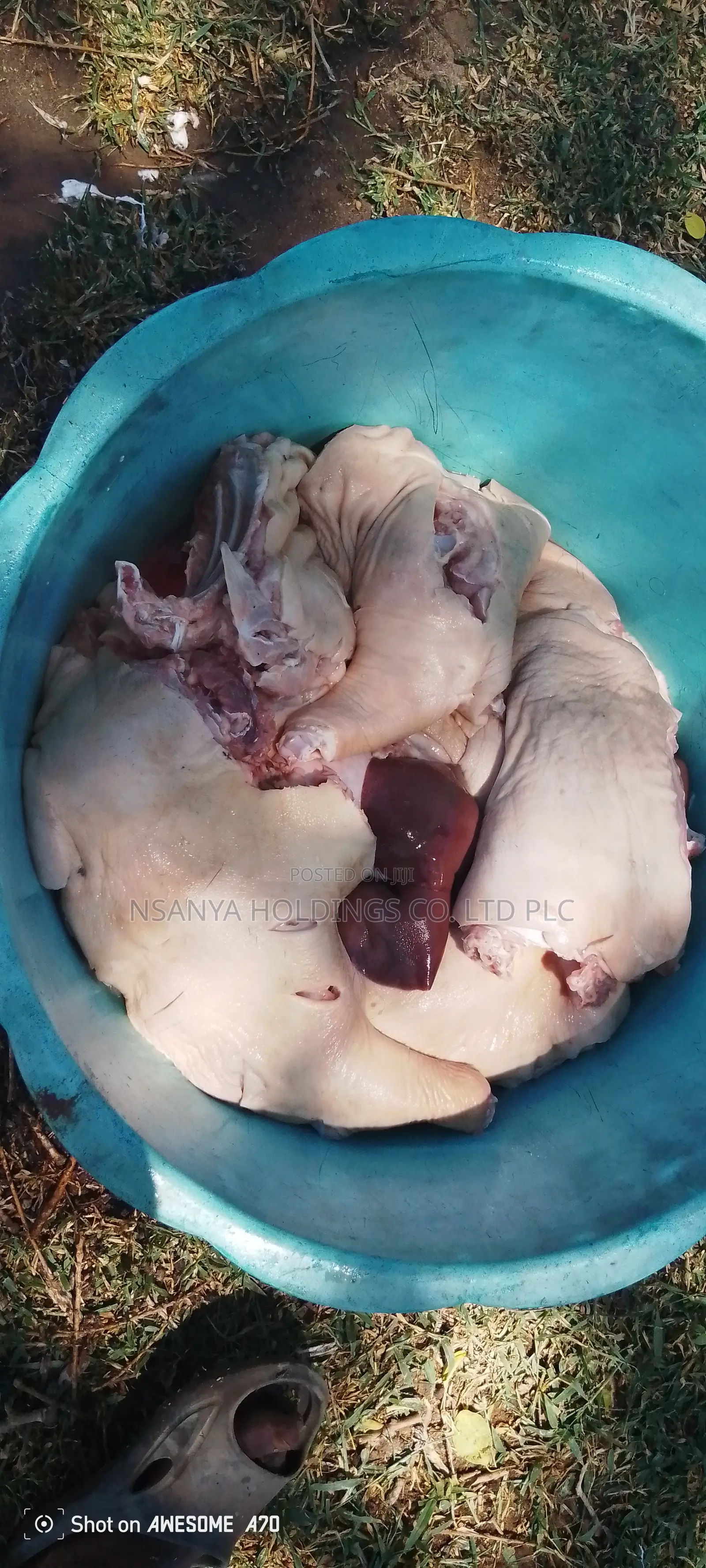 Nyama Ya Nguruwe Ipo Ya Kusaga Kg 1 TSHS 20,000/= Kawaida TSH 15,000/=