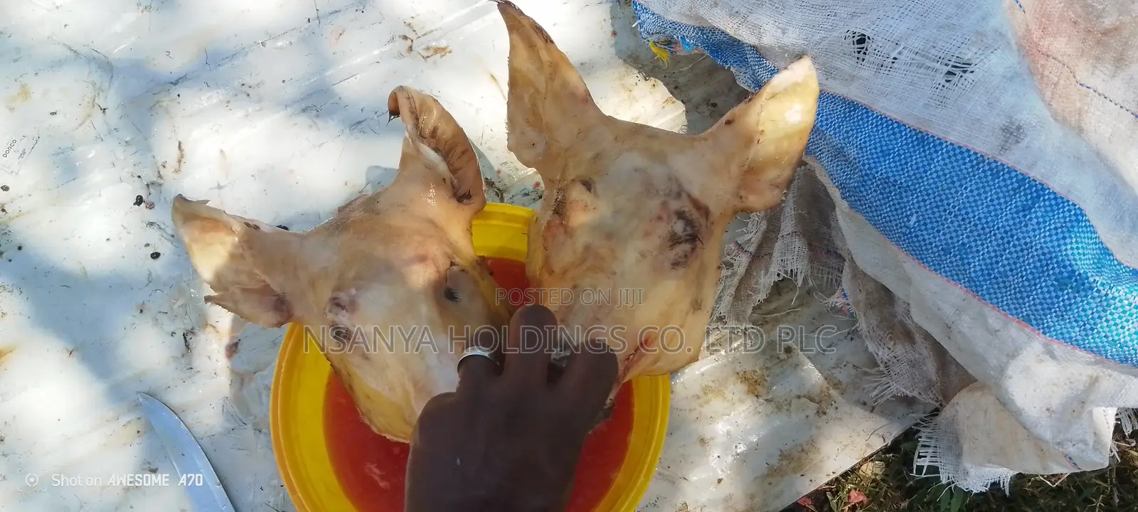 Nyama Ya Nguruwe Ipo Ya Kusaga Kg 1 TSHS 20,000/= Kawaida TSH 15,000/=