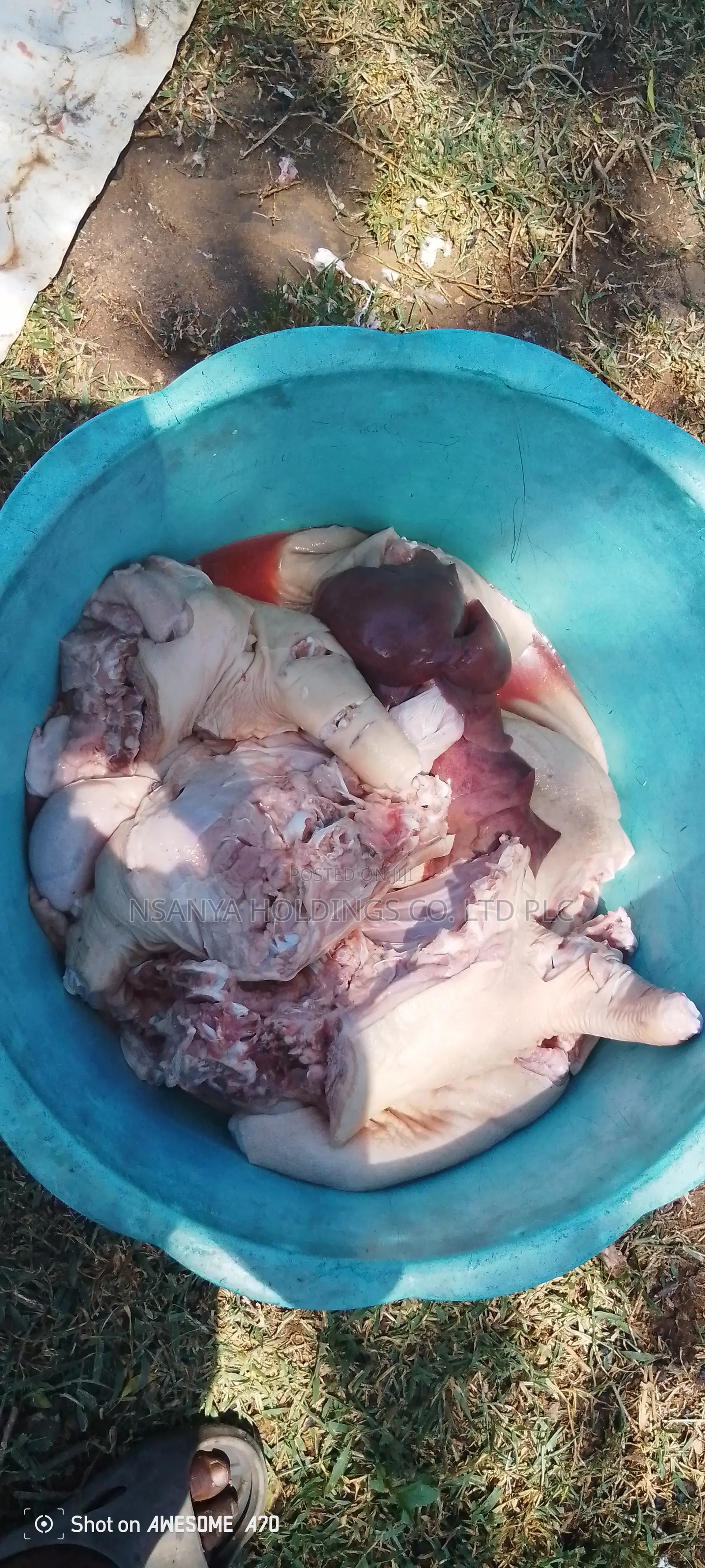 Nyama Ya Nguruwe Ipo Ya Kusaga Kg 1 TSHS 20,000/= Kawaida TSH 15,000/=