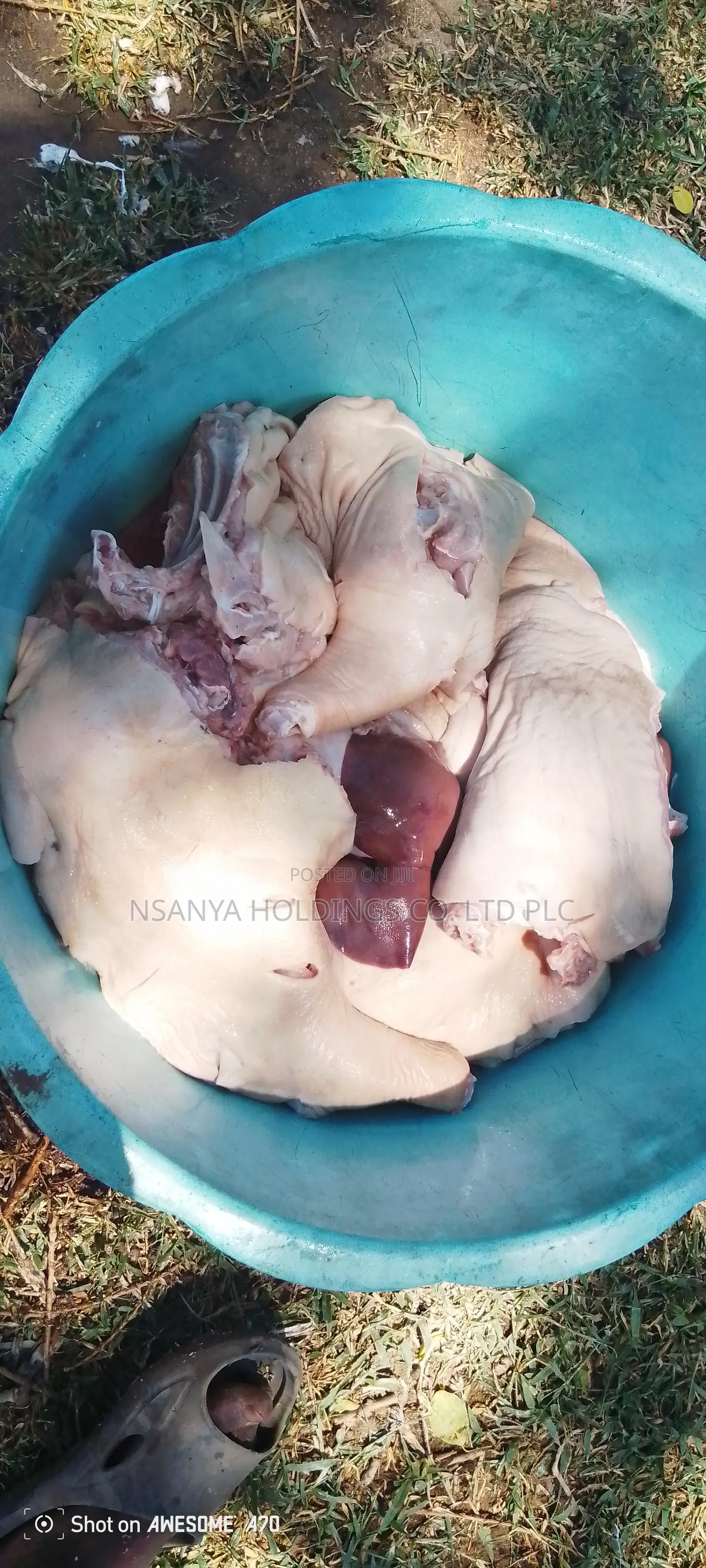 Nyama Ya Nguruwe Ipo Ya Kusaga Kg 1 TSHS 20,000/= Kawaida TSH 15,000/=