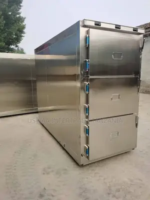 Morgue Freezer (Mortuary Freezer)