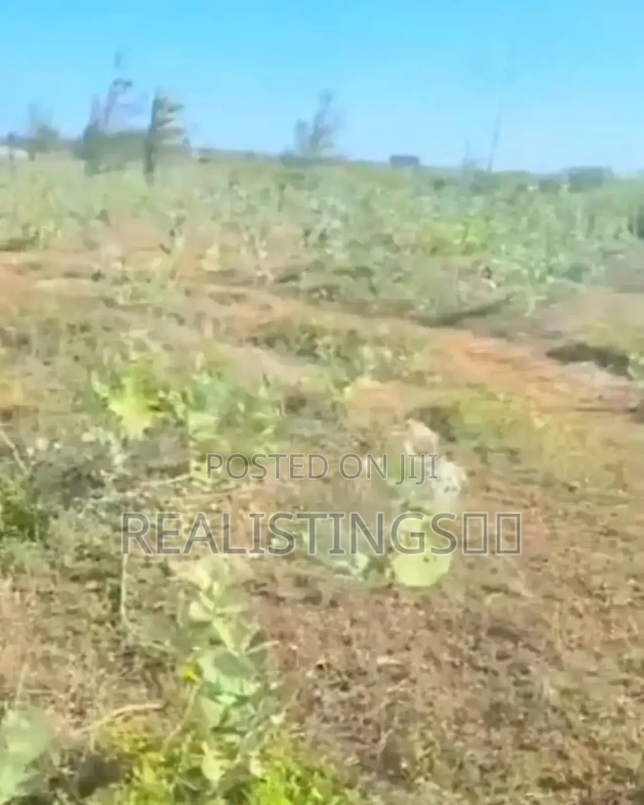 Kigamboni: Ocean Front Commercial Beach Plot for Sale - Dar
