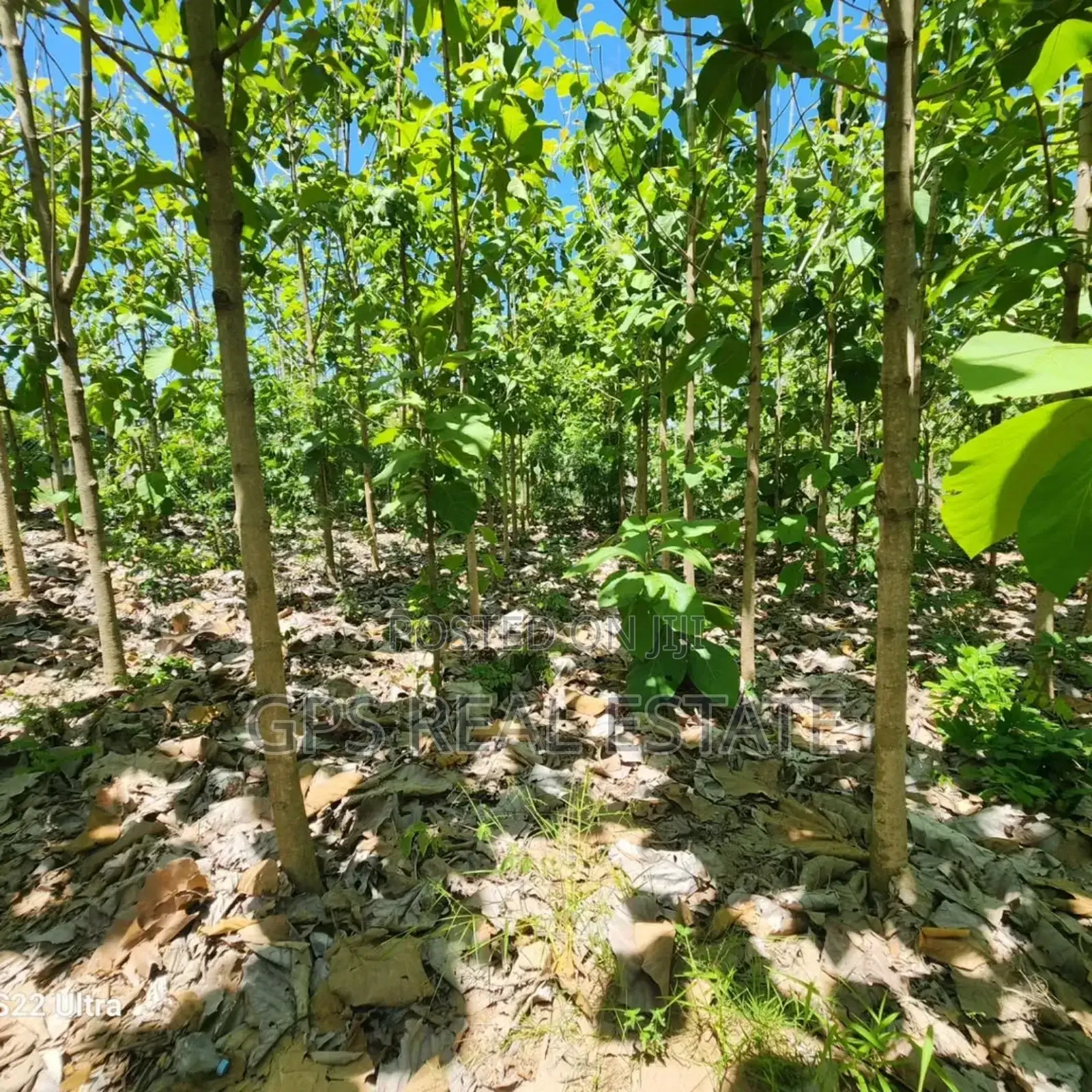 Plot for Sale at Salasala Kinzudi