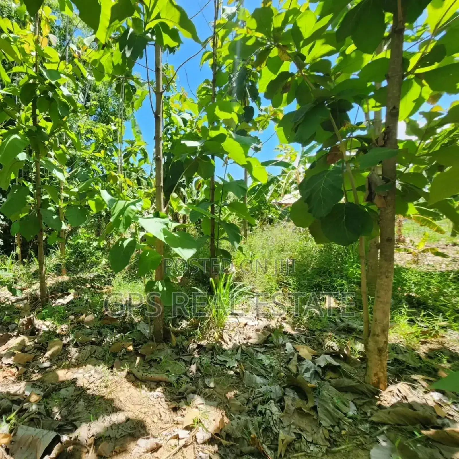 Plot for Sale at Salasala Kinzudi
