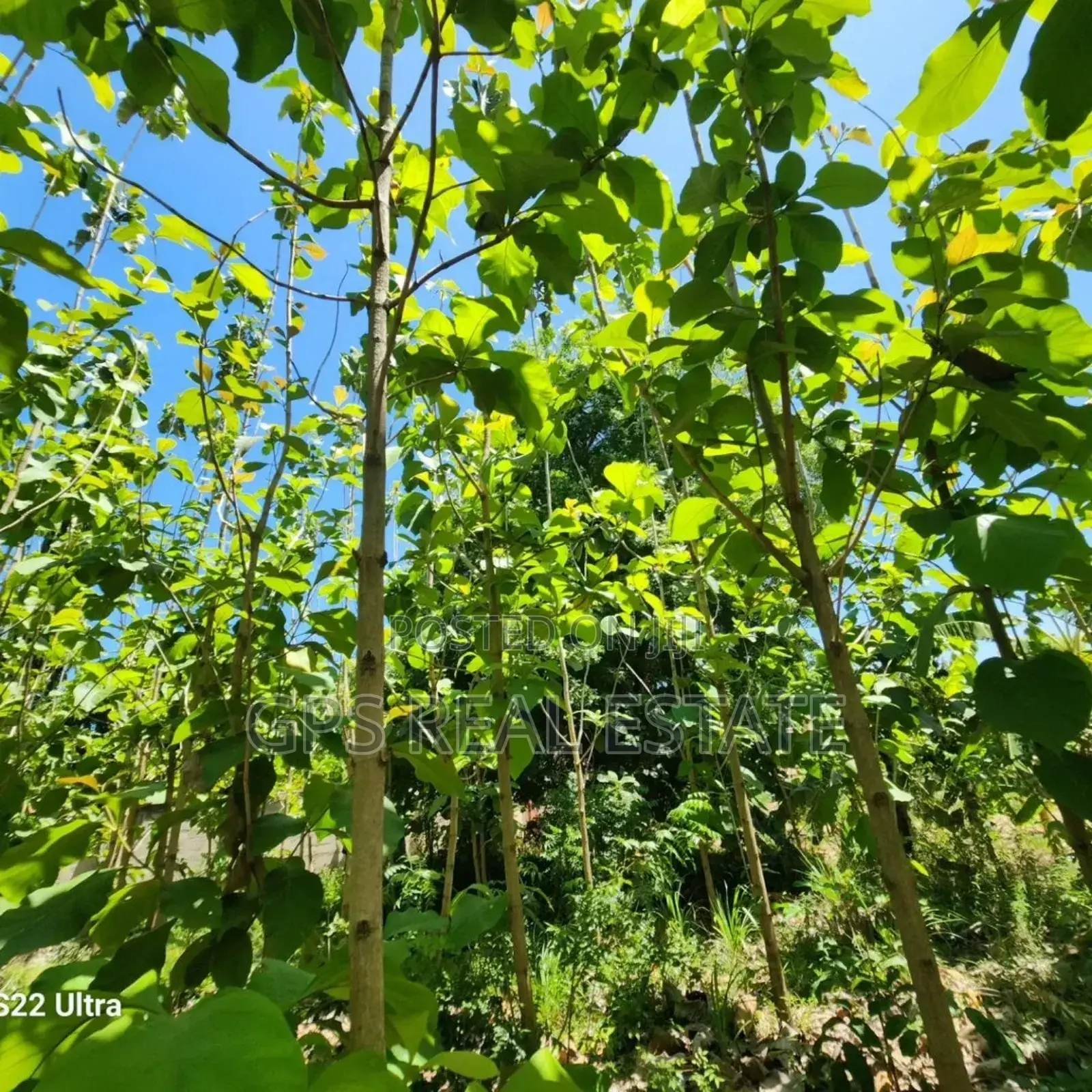 Plot for Sale at Salasala Kinzudi