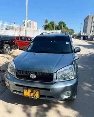 Toyota RAV4 2005 Gray