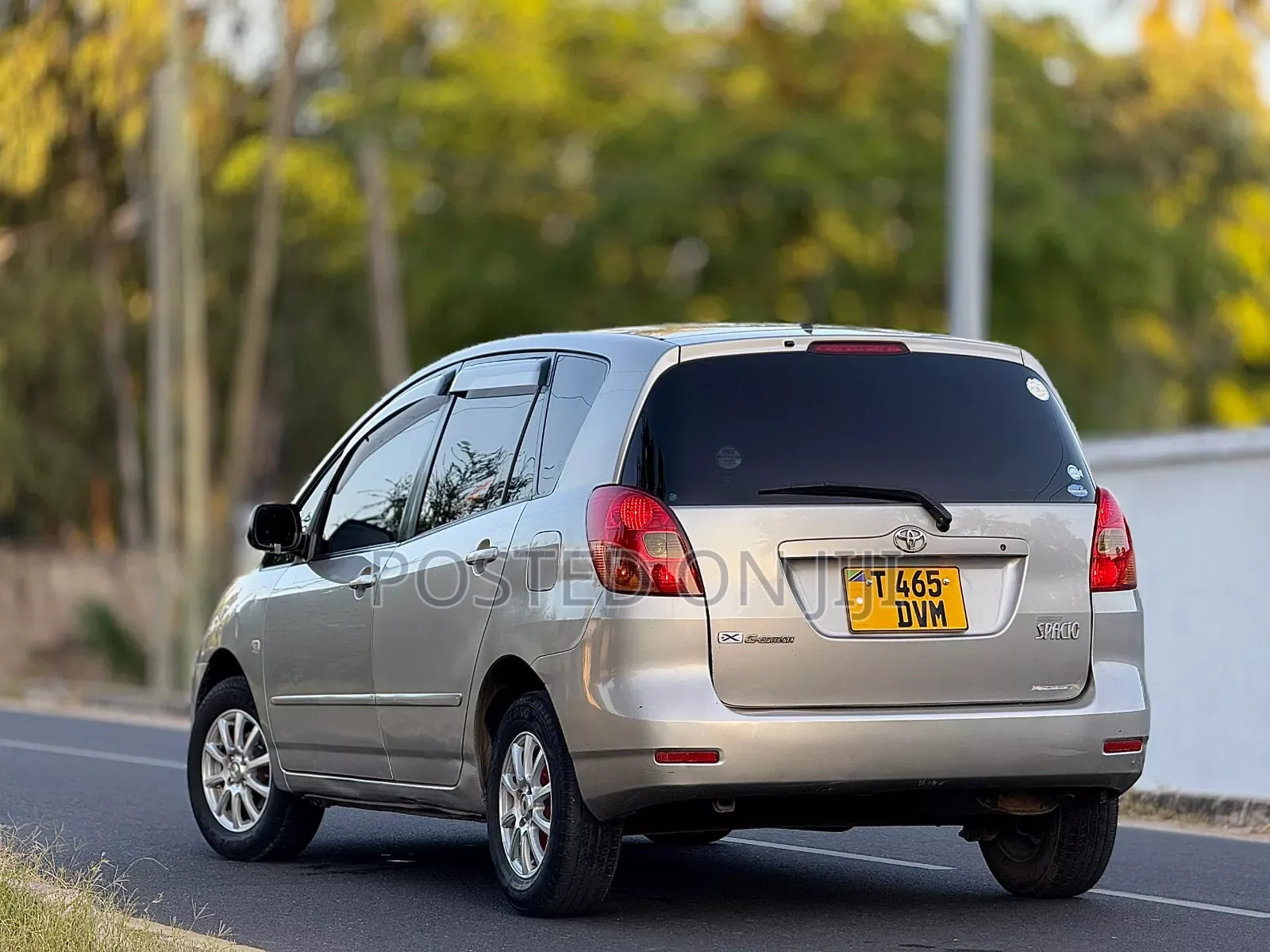 Toyota Corolla Spacio 2005 Silver
