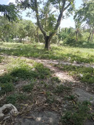 Kiwanja Sqmita 144 Kinauzwa Milioni 3.2 Majohe Viwege.