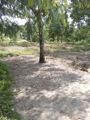 Kiwanja Sqmita 144 Kinauzwa Milioni 3.2 Majohe Viwege.