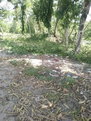 Kiwanja Chenye Sqmita 144 Kinauzwa Milion 3.7 Majohe Viwege.