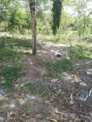 Kiwanja Chenye Sqmita 144 Kinauzwa Milion 3.7 Majohe Viwege.
