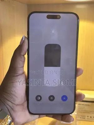 Apple iPhone 15 Pro Max 256 GB Black