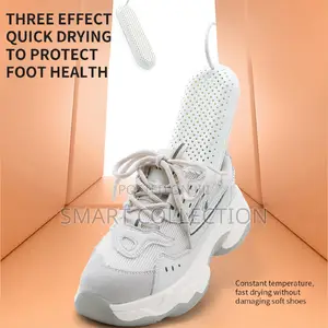 Electric Shoe Dryer