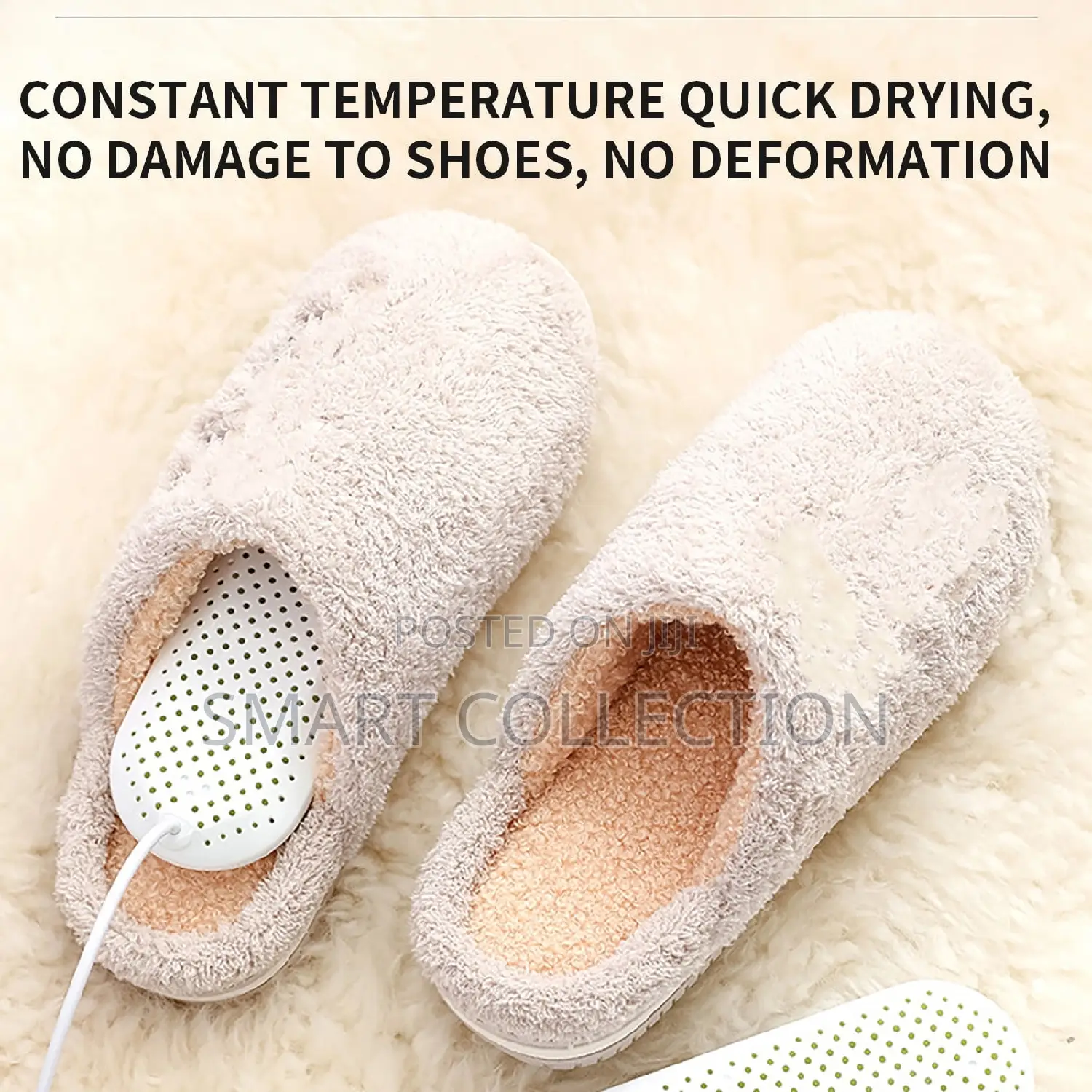 Electric Shoe Dryer
