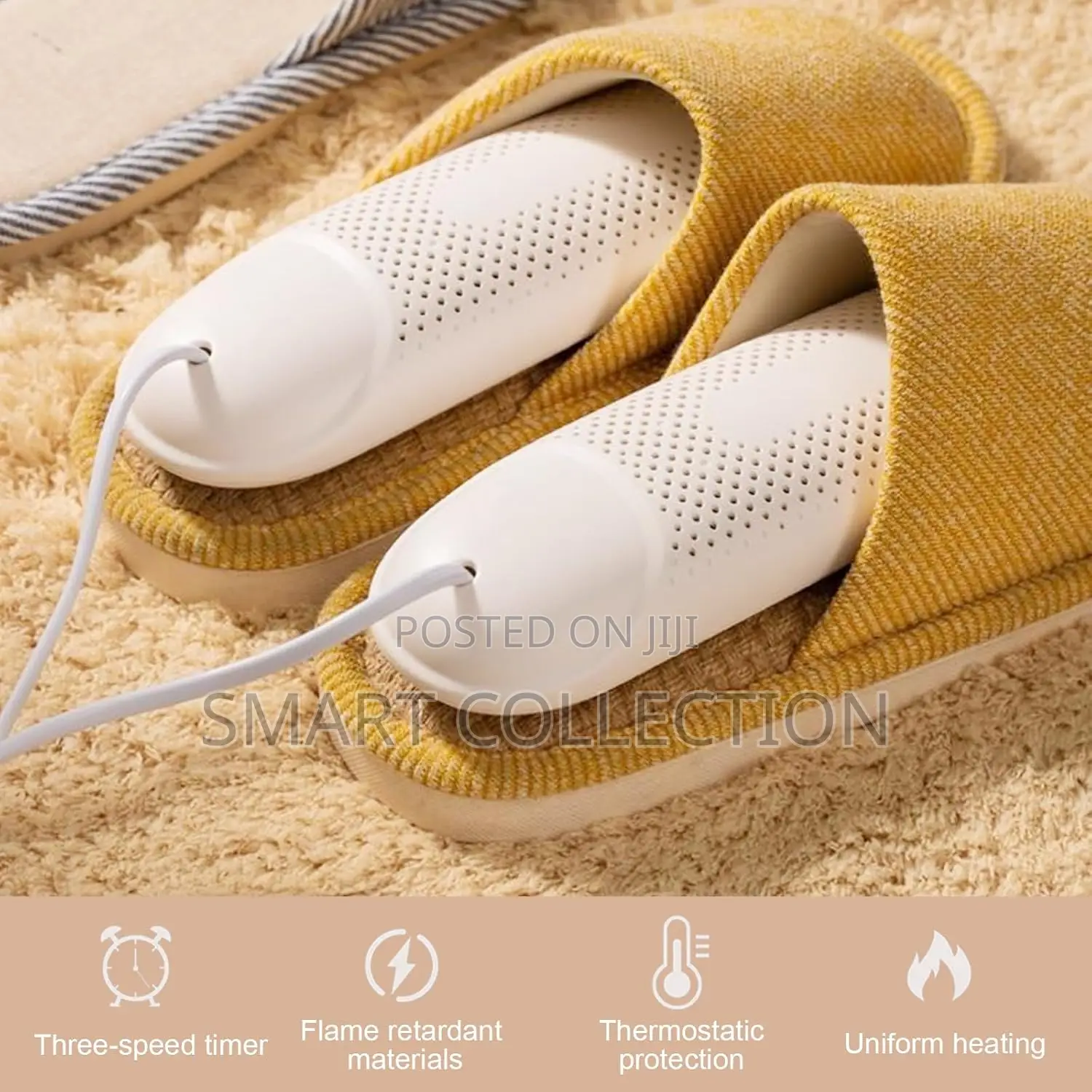 Electric Shoe Dryer